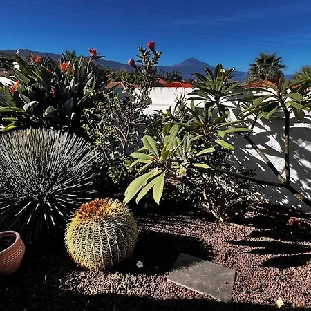 Apartment Jacaranda Tacoronte