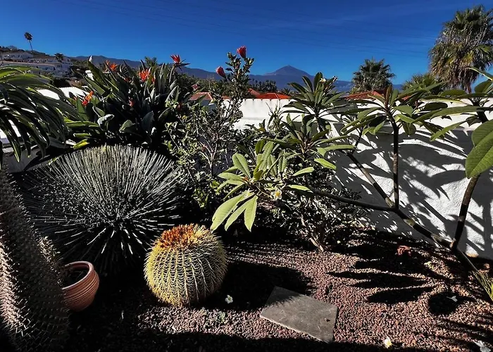 شقة Jacaranda تاكورونتي