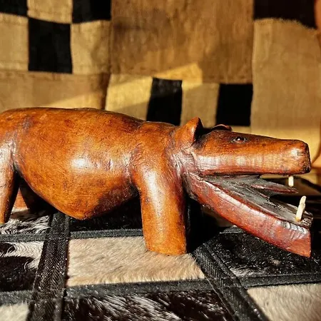 Jacaranda * Такоронте