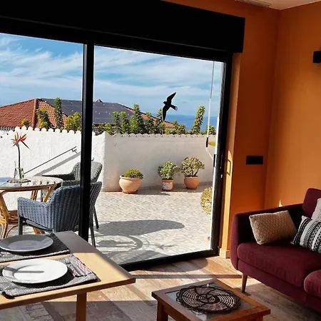 Jacaranda * Такоронте