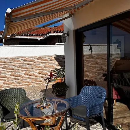 Jacaranda * Такоронте